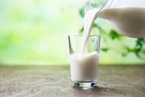 cows milk weaning