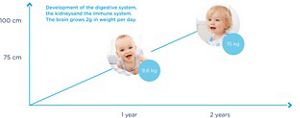 Baby Eye Development Chart