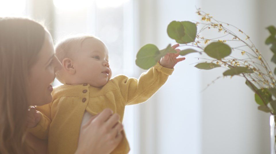 5 Month Old Baby Development Amp Nutrition Advice Aptaclub