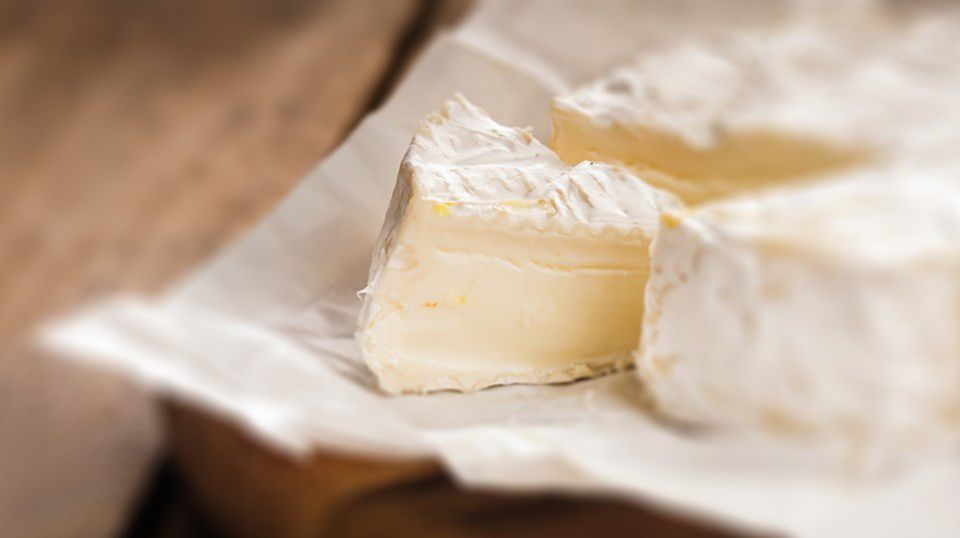 Foods to avoid when trying to conceive – Aptaclub Foods to avoid when trying to conceive – Aptaclub