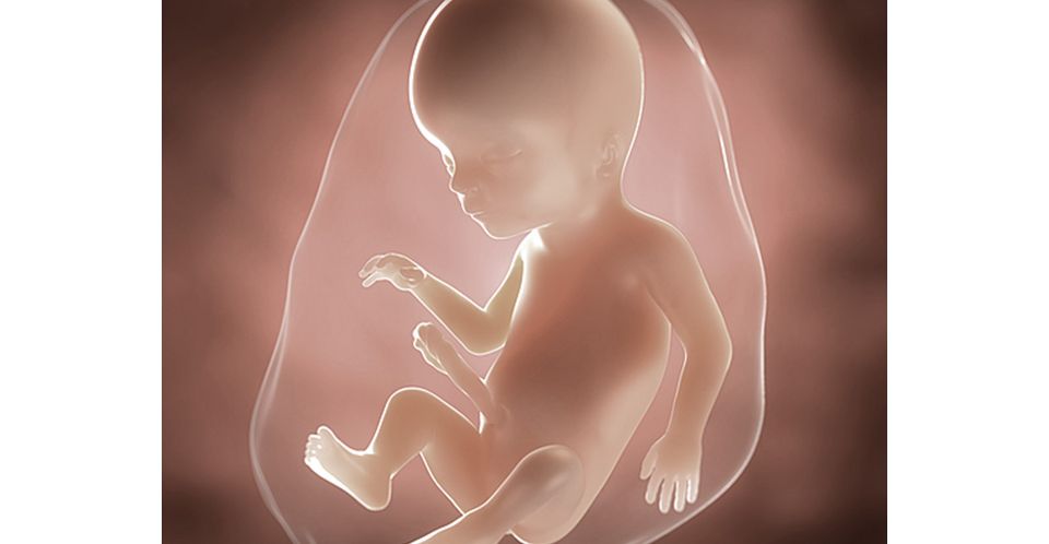 18 Weeks Pregnant You Your Baby Symptoms Advice Aptaclub