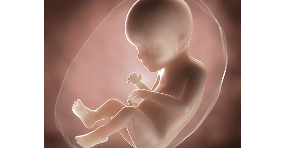 23 Weeks Pregnant You Your Baby Symptoms Advice Aptaclub