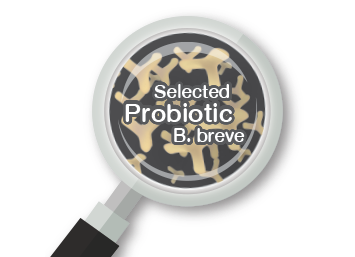 Probiotic-infographic
