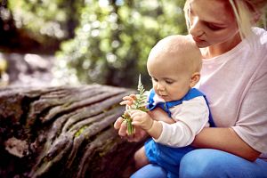 Die Gehirnentwicklung Des Babys Aptaclub