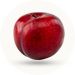 Baby is a size of a Plum