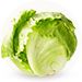 Baby is a size of a Lettuce