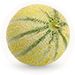Baby is a size of a Rockmelon