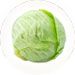 Baby is a size of a Cabbage