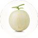 Baby is a size of a Honeydew Melon