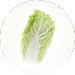 Baby is a size of a Chinese Cabbage