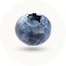 Baby is a size of a Blueberry