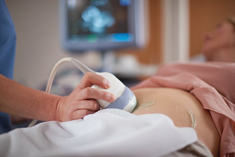 Vorsorgeuntersuchungen In Der Schwangerschaft Aptaclub