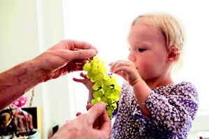 milupa-kleinkind-2-3-jahre-haende-trauben