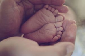 Aptamil AT preterm fuesschen 2