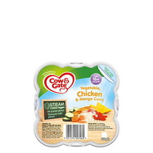 Vegetable, chicken and mango curry