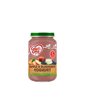 Apple and blueberry yoghurt