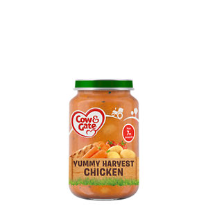Yummy harvest chicken