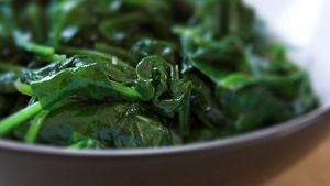 Salad For Pregnancy Diet