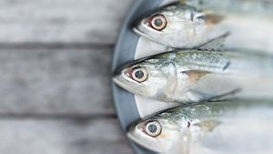 Three Fish On Plate