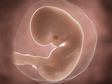 7 Weeks Pregnant Symptoms Advice Aptaclub