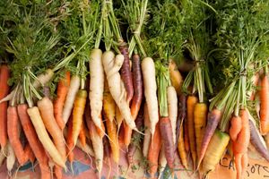 socrates-carrots.jpg