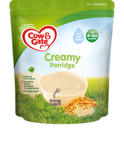Creamy Porridge
