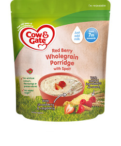 Red Berry Wholegrain Porridge with Spelt