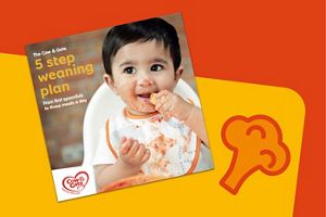 5-step-weaning-plan-download.jpg