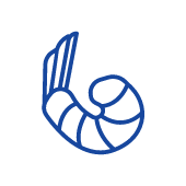prawn-icon.png