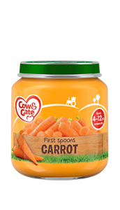 First Spoons Carrot