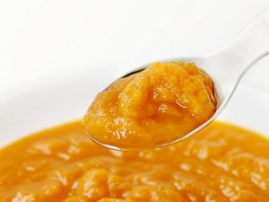 butternut-squash-puree