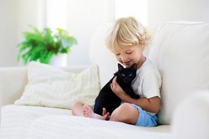 baby-with-cat
