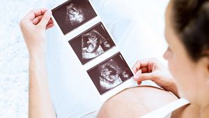 pregnancy development calendar masthead