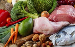 Boos-Nutrition-Baby-Banner