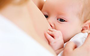 Hi-Q how to increase breastmilk