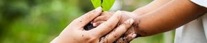 Image positive de mains tenant une plante